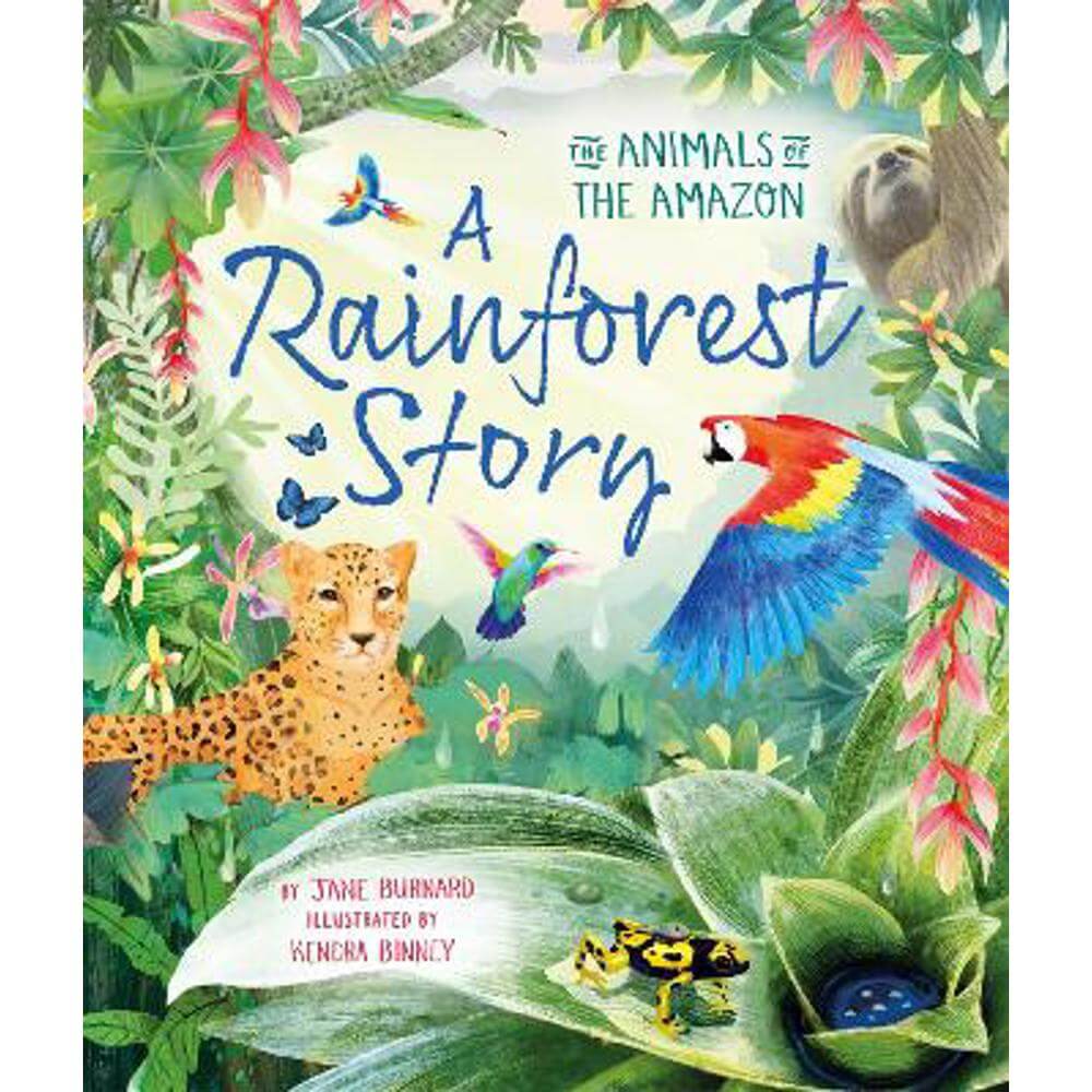 A Rainforest Story: The Animals of the Amazon (Hardback) - Jane Burnard